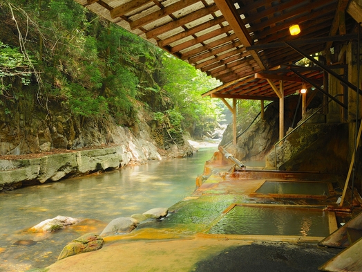 川岸露天でにごり湯の温泉に浸かる最高の至福♪季節の景色と味を堪能☆スタンダードプラン【2食付き】